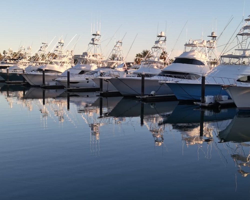 WhatsApp Image 2023-11-16 at 5.04.10 PM (1)