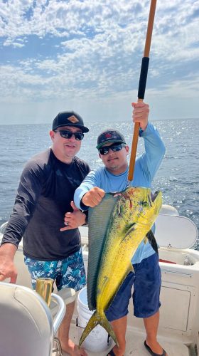 WhatsApp Image 2024-08-28 at 5.50.58 PM (1)