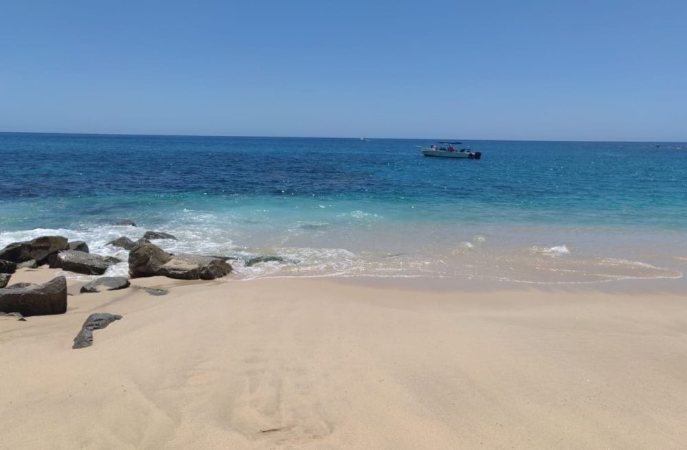 WhatsApp Image 2025-07-31 at 12.39.55 PM