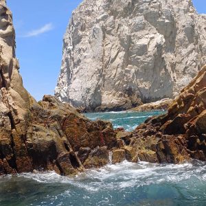 WhatsApp Image 2025-08-05 at 5.37.30 PM