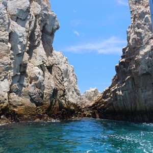 WhatsApp Image 2025-08-05 at 5.38.54 PM (1)