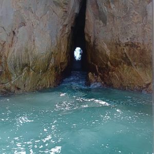 WhatsApp Image 2025-08-05 at 5.38.54 PM