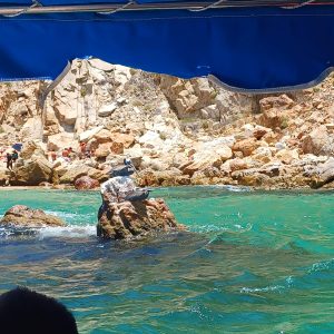 WhatsApp Image 2025-08-05 at 5.38.56 PM